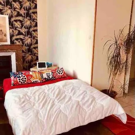 Charming Quiet Big Flat Surrounding Gardens アパート グルノーブル