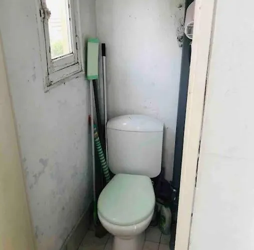 Charming Quiet Big Flat Surrounding Gardens דירה גרנובל