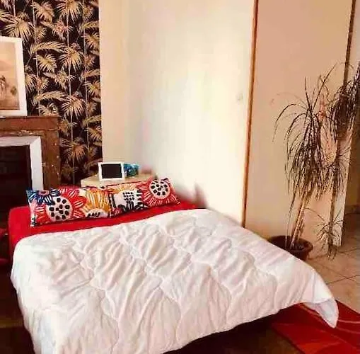 Charming Quiet Big Flat Surrounding Gardens דירה גרנובל