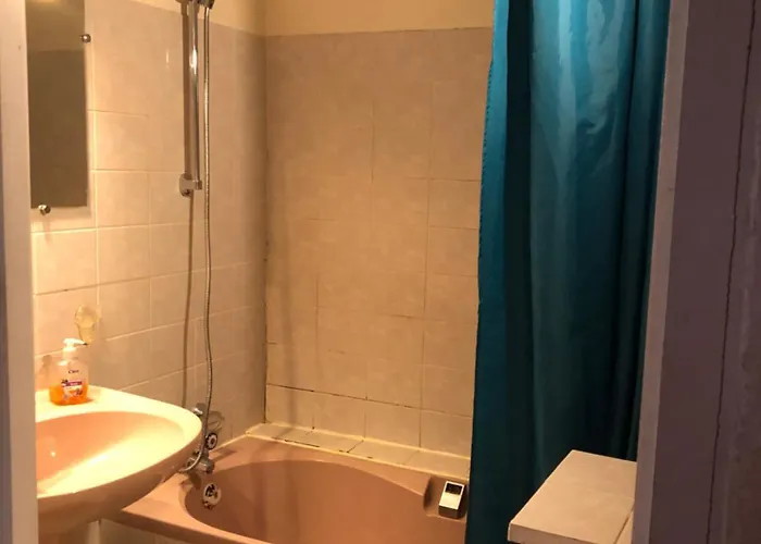 Charming Quiet Big Flat Surrounding Gardens דירה גרנובל
