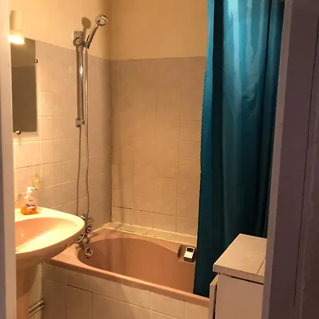 Charming Quiet Big Flat Surrounding Gardens Apartament Grenoble